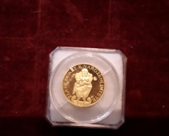 Zlatá mince_015J,dukåt k narozeni dítěte, rok 2007,ryzost 986/1000,váh,    , Cena: 5.800 Kč