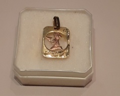 Zlatý přīvĕsek znamení panna_049J,ryzost 585/1000,váha 0,96g, Cena: 860 Kč Zlatý přīvĕsek znamení panna_049J,ryzost 585/1000,váha 0,96g, Cena: 860 Kč