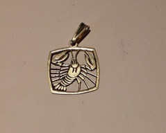Zlatý přīvĕsek znamení _051J,ryzost 585/1000,váha 2,18g,výška 2,6cm, Cena: 1.970 Kč Zlatý přīvĕsek znamení _051J,ryzost 585/1000,váha 2,18g,výška 2,6cm, Cena: 1.970 Kč