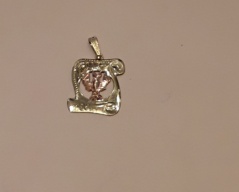 Zlatý přīvĕsek znamení štīr_049J,ryzost 585/1000,váha 1,03g,výška 1,6cm,šíř, Cena: 930 Kč Zlatý přīvĕsek znamení štīr_049J,ryzost 585/1000,váha 1,03g,výška 1,6cm,šíř, Cena: 930 Kč