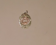 Zlatý přīvĕsek znamení ryby_053J,ryzost 585/1000,,váha 0,86g,, Cena: 770 Kč Zlatý přīvĕsek znamení ryby_053J,ryzost 585/1000,,váha 0,86g,, Cena: 770 Kč