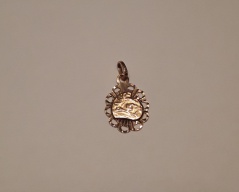 Zlatý přīvĕsek _055J,ryzost 585/1000,,váha 0,74g,průměr 1,1cm, Cena: 700 Kč Zlatý přīvĕsek _055J,ryzost 585/1000,,váha 0,74g,průměr 1,1cm, Cena: 700 Kč