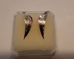 Zlaté nåušnice _067J,ryzost 585/1000,váha 1,83g,délka 2,5cm,šířka 0,7cm, Cena: 1.730 Kč Zlaté nåušnice _067J,ryzost 585/1000,váha 1,83g,délka 2,5cm,šířka 0,7cm, Cena: 1.730 Kč