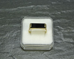 Pánský prsten_016T, ryzost 585/1000, váha 3,64g, velikost 61, Cena: 2.510 Kč Pánský prsten_016T, ryzost 585/1000, váha 3,64g, velikost 61, Cena: 2.510 Kč